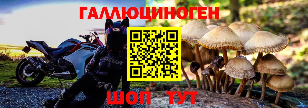 Псилоцибиновые грибы прущие грибы  Псилоцибиновые грибы ЛСД  Вход с VPN  Нефтекумск 
